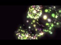 Golden Mind (with Hemi-Sync® binaural beats)