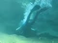 Rainbow River - NAUI Training Dives 3 & 4 Rainbow River - NAUI Training Dives 3 & 4