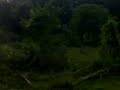 2-Tanah Sawah Brisu perlu di usahakan segera !