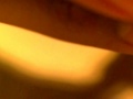 An old penny (rare coins) An old penny (rare coins)