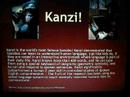 Bonobos - slideshow