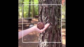 [전주대학교 재활학과] 장애인작업장 생산품 홍보 (해피드림 초코파이)