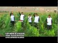 Flor Andina de Ayacucho - Eucaliptucha