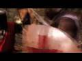 I TEMPLARI IN CHIANTI - Trailer