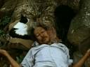 Check out the moggy!!! La Soufriere by Werner Herzog, 1977 -- excerpt