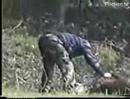 This film was taken from the road next to League Against Cruel Sports land in Somerset, showing one stag collapsing and then being killed with a knife before being collected by sanctuary manager, Paul Tillsley.  A week later a second young stag, barely alive, is shot and taken away.  Please visit www.countryside-alliance.org.uk for further information.
