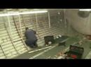Made in Germany | Turning Passenger Jets into Cargo Planes Made in Germany | Turning Passenger Jets into Cargo Planes