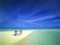 Borntobealive.pps-11-24-22-44_wmv.wmv