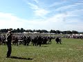 pennsic 35 field battle pennsic 35 field battle