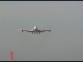 pia   go around