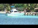 Animals of Roatan