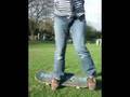 Don-t-Do-Tricks-Trai