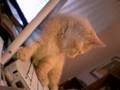 Prue on ibook
