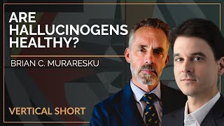 Are Hallucinogens Healthy? | Brian C. Muraresku & Jordan B Peterson #shorts