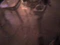Andres Party voll die Kaputten Session.3gp Andres Party voll die Kaputten Session.3gp