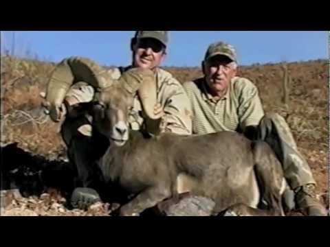 timberland-outfitters-desert-bighorn-sheep-hunts