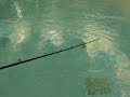 Musky Bucktail Northern Pike Bass Muskie Fishing Lure Musky Bucktail Northern Pike Bass Muskie Fishing Lure