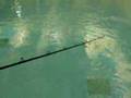 Musky Bucktail Northern Pike Bass Muskie Fishing Lure