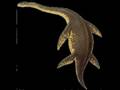 Aliens, Cryptozoology, UFO's