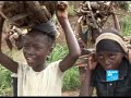 Le fleuve Congo, la solution aux problèmes d\ Le fleuve Congo, la solution aux problèmes d\