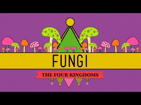 how to kill jelly fungus
