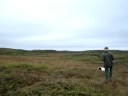 Ptarmigan Hunting in Newfoundland  ( Partridge Hunting )