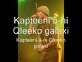 Qleeko galaxi kapteeni ä-ni