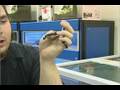 Snake Facts : King Snakes