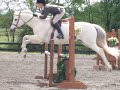 Capital Horse Shows Association 2008