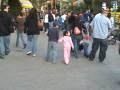 videos de Knotts