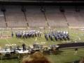 DCI 2008