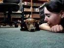 Tricking Merlina to kiss me Tricking Merlina to kiss me