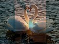 Михаил Шуфутинский Утки