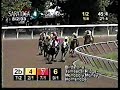 Birdstone - Maiden Race