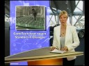 auto-news 2008_20