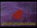 HIV: Replica��o e farmacodin�mica