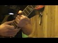 Necrophagist - The Stillborn One Solo Cover