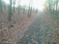 videos de Falco 01 20081024.mp4