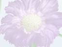 Hello Beautiful_0001.wmv Hello Beautiful_0001.wmv