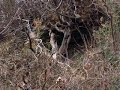 Storia di una frana a Mompeo