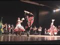 Danzas Chilenas V