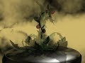 Poisonous Plants.wmv