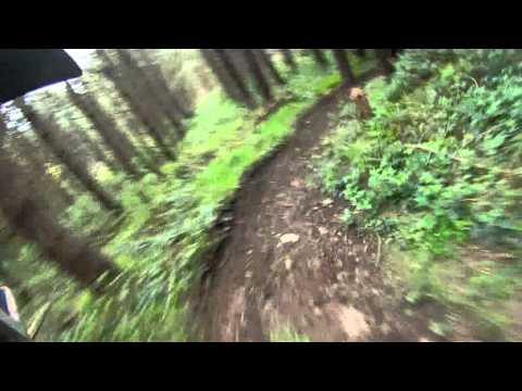 chain reaction cycles