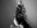 Happy X-mas rendier Happy X-mas rendier