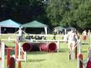 AGILITY DANEMARIE