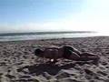 Flexiones giratorias (Twisting Push-Ups)