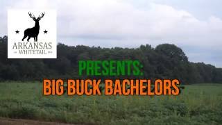 Monster Bachelor Bucks!