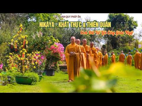 NIKAYA Khất Thực - Con Đã Về Lõi Cây Giác Ngộ *