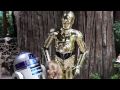C-3PO talks with guests at Disney's Hollywood Studios during Star Wars Weekends
