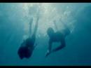 Nicole Scherzinger Ft. Will.I.Am. - Baby Love Nicole Scherzinger Ft. Will.I.Am. - Baby Love